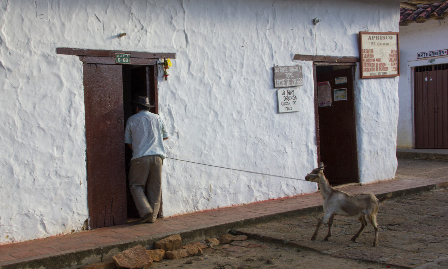 guane