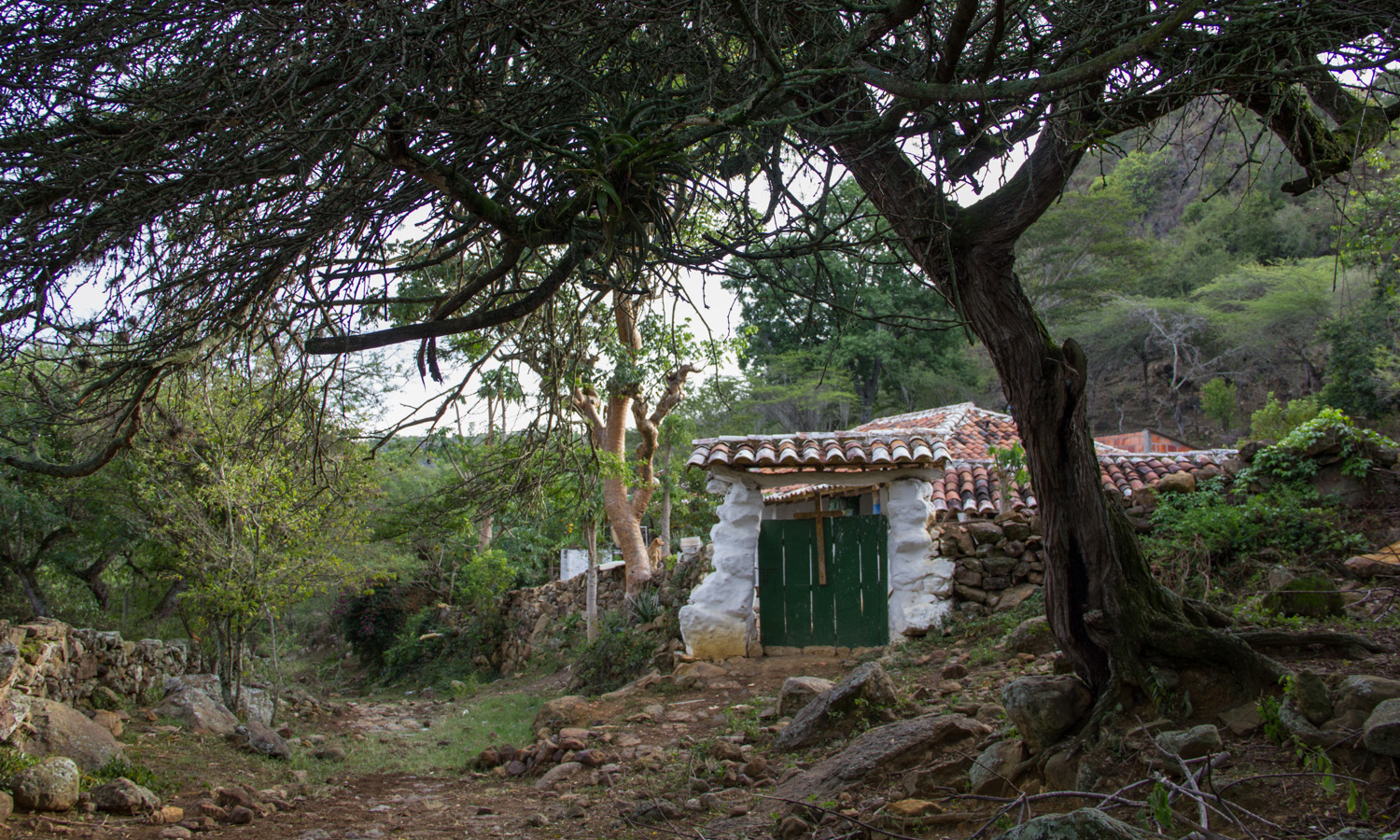 camino