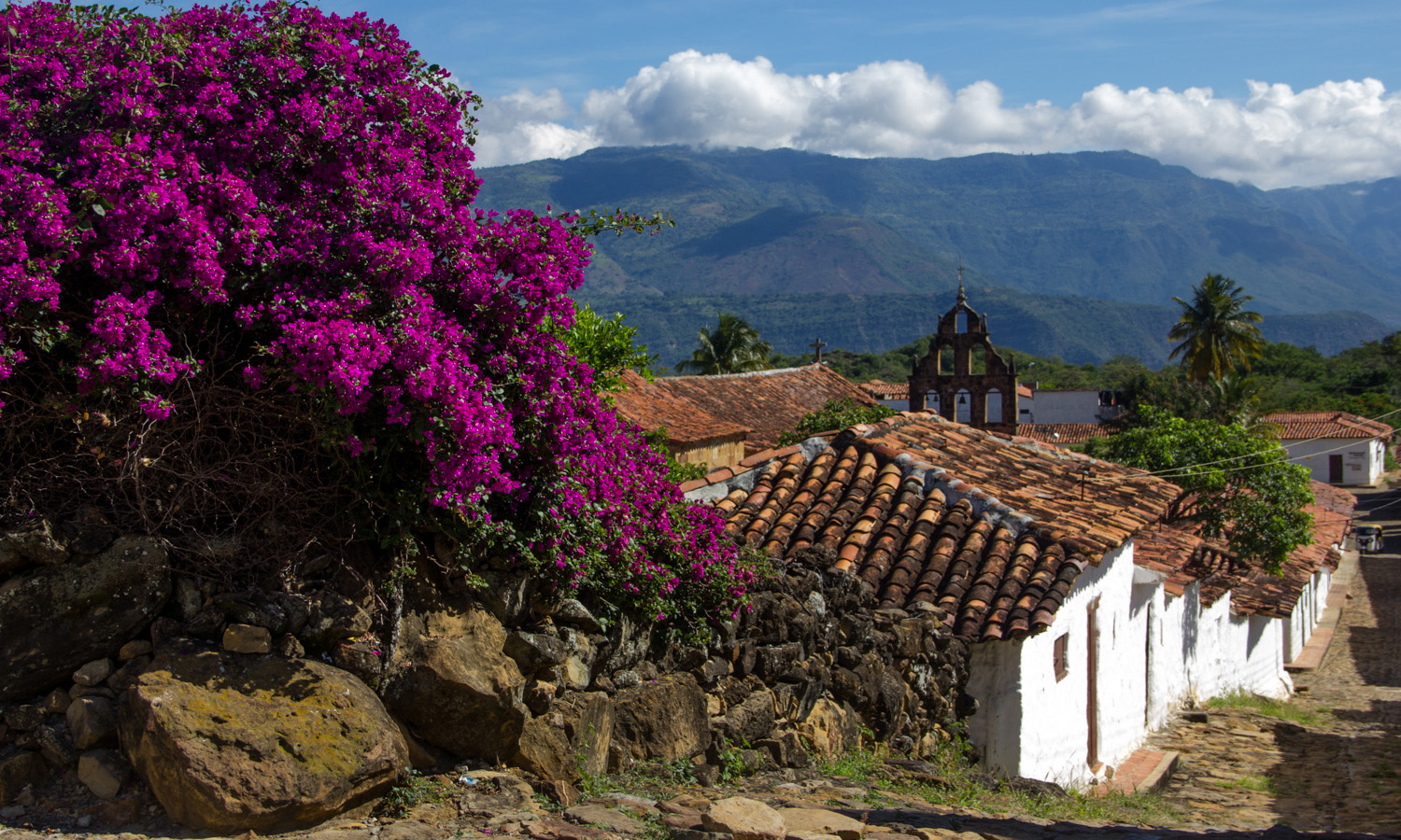 guane